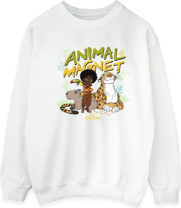 Disney Encanto Animal Magnet Sweatshirt (M)