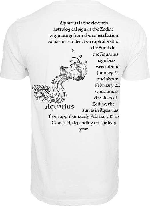 Actual product image MT Astro Aquarius Tee - 15697 (L)