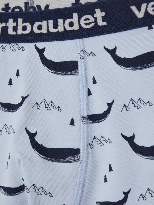 Immagine prodotto Vertbaudet Slip Intimo (158, 164, Confezione da 5 pezzi)