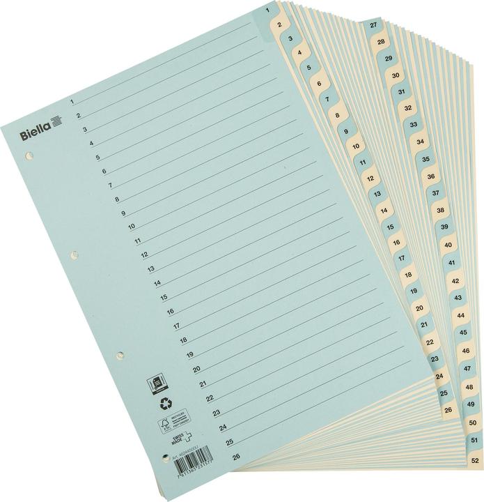 Actual product image Biella Index cardboard A4 1-52, 4holes