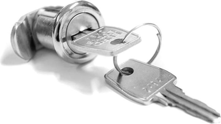 4pets BoxLock 31x22x2cm (Dog, Safety closure)