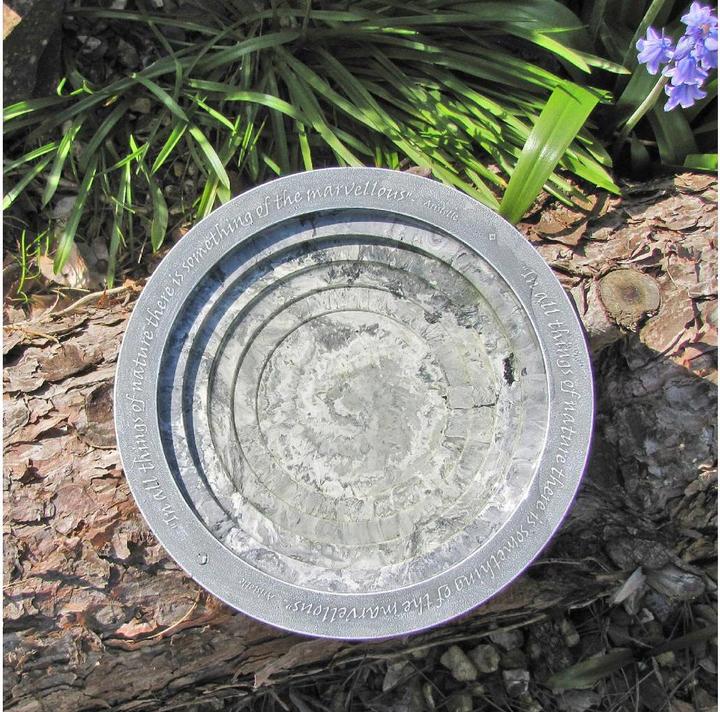Actual product image Wildlife World Oasis