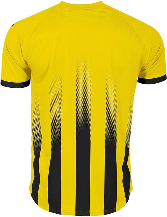 Produktbild Stanno Vivid Trikot (M)