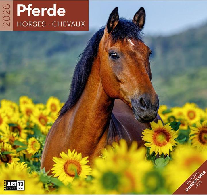 Actual product image Pferde Kalender 2026 - 30x30 (30 x 30 cm, Hardcover, German)