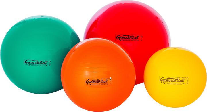 Actual product image Original exercise ball (42 cm)