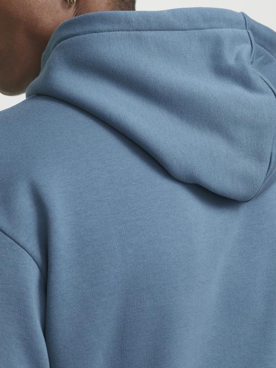 Actual product image Jack & Jones Jjebradley Sweat Hood Noos Pls (4XL)