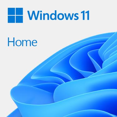 Microsoft Windows 11 Home (1 User, 1 Devices/Users, unlimited)