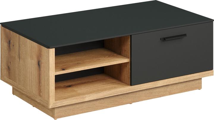 Trendteam Synnaxwo (110 x 41 x 60 cm)