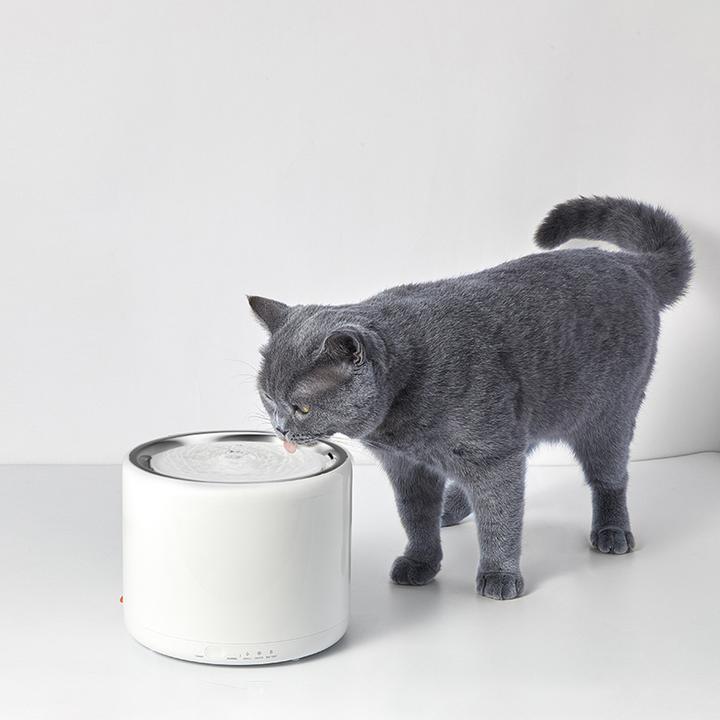 Actual product image Petkit Eversweet drinking fountain, 1.35l (1.35 l)