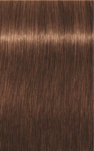 Actual product image Schwarzkopf Professional Igora Royal Absolutes Age Blend (6-60 Dark blond chocolate natural)
