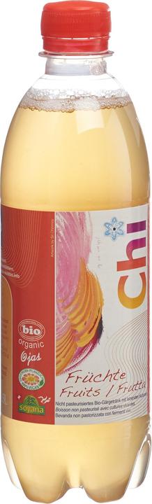 Produktbild Soyana Gärgetränk (1 x 50 cl)