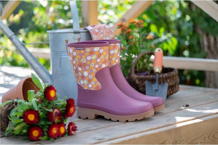 Image du produit AJS Blackfox Bottes Lizia (41)