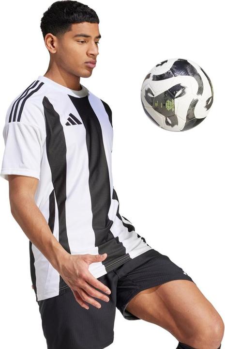 Produktbild adidas Striped 24 Trikot (L)