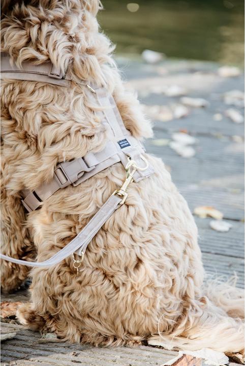 Produktbild Kentucky Dogwear Hundeleine Velvet (L, Hund, Hundesport)