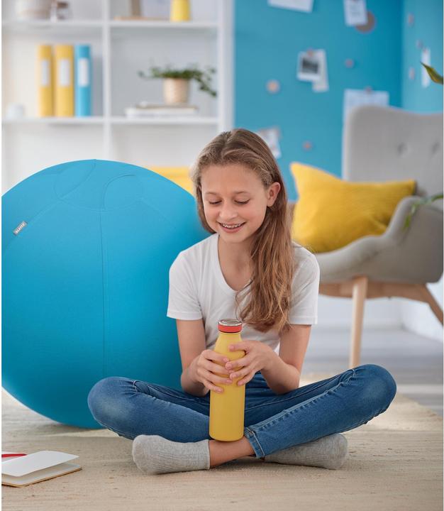 Image du produit Leitz Ballon-siège Ergo Cosy Active (65 cm)