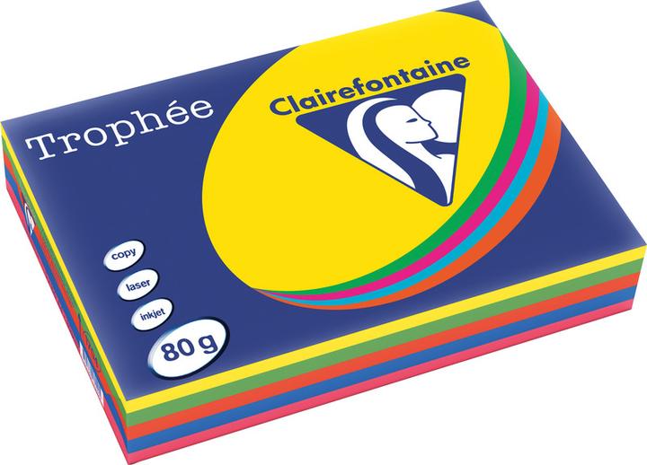 Actual product image Clairefontaine Trophée (160 g/m², 250 x, A4)