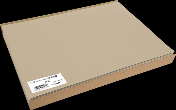 Exacompta Tischset (1 Stk., 30 x 40 cm)