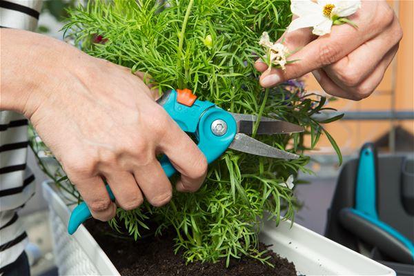 Productafbeelding Gardena Stadstuinieren Balkonbox