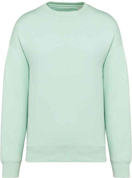 Native Spirit Sweatshirt Übergross (XS)
