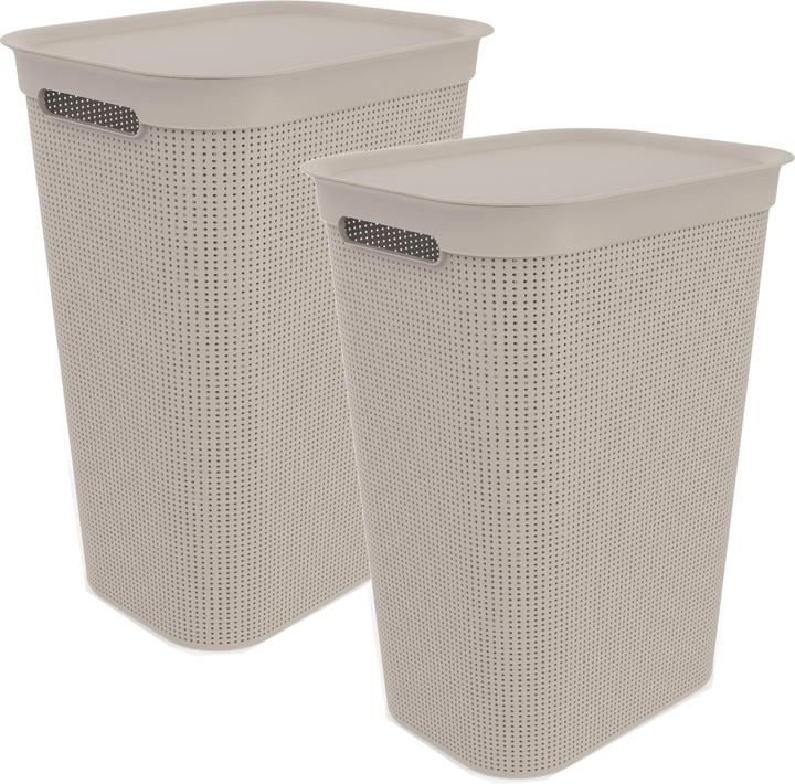 Immagine prodotto Rotho Brisen (50 l)