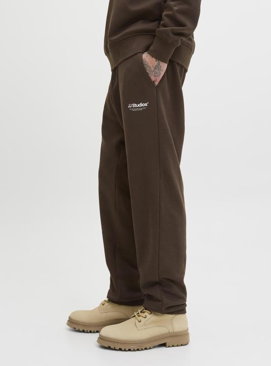 Actual product image Jack & Jones Regular Fit Relaxed Fit Hosen Relaxed Fit Hosen (XXL)