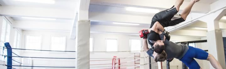 Productafbeelding adidas Grappling Training (L)