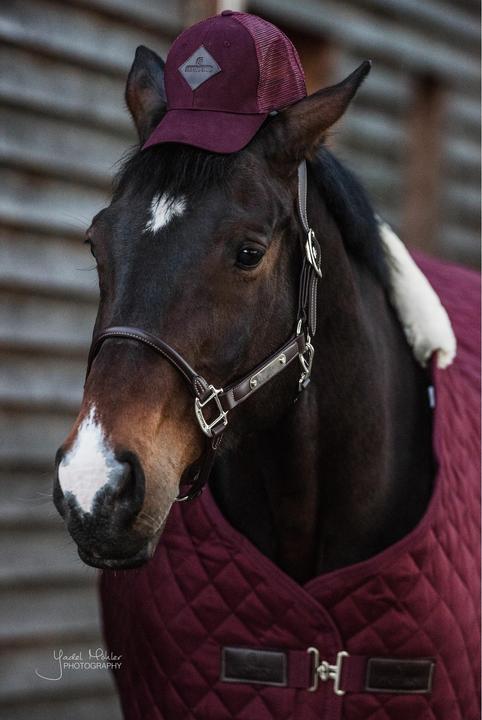 Immagine prodotto Kentucky Horsewear Copricapo per cavezza anatomica in cuoio