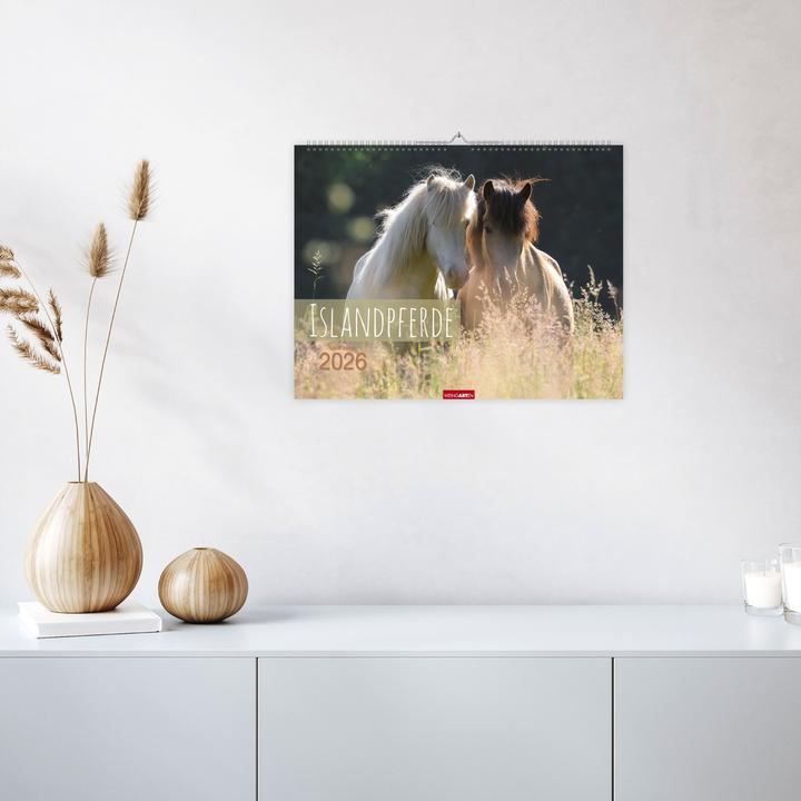 Produktbild Islandpferde Kalender 2026 (44 x 34 cm, Harter Einband, Deutsch, Englisch)