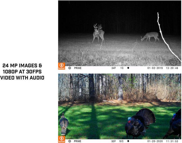 Actual product image Bushnell 24MP Prime core