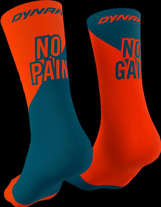 Actual product image Dynafit No Pain No Gain Socks Unisex (35 - 38)