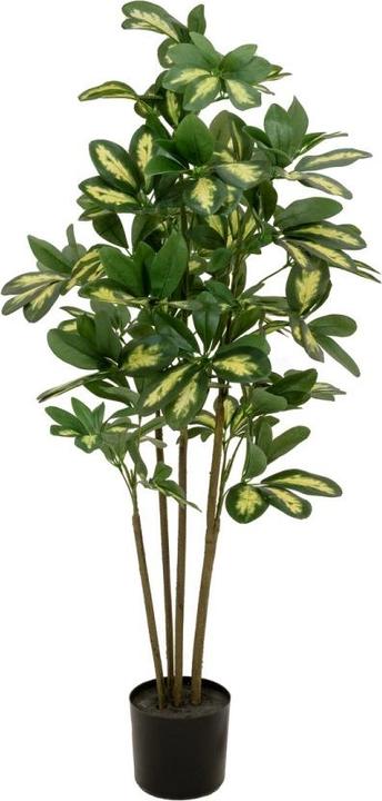Produktbild Europalms Schefflera, künstlich, 90cm