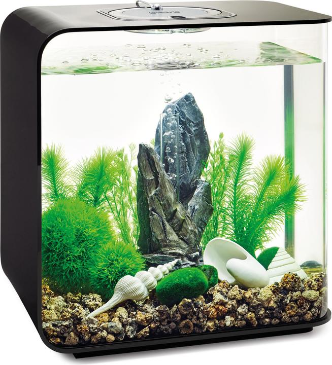 Actual product image Oase biOrb Aquarium 30 Decor Set (Embellishment, other buildings)