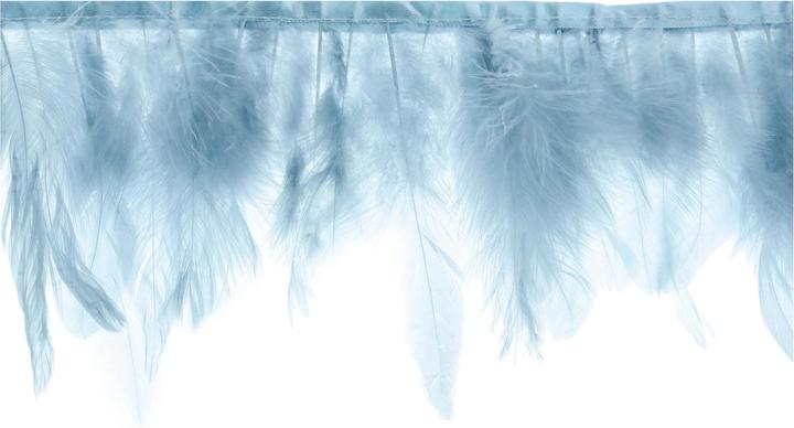 Image du produit Partydeco Guirlande de plumes 1 m, bleu
