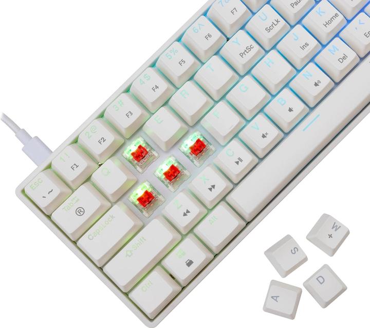 Produktbild White Shark GK-004211 Shinobi-2 Red Switch, White US (US, Kabelgebunden)