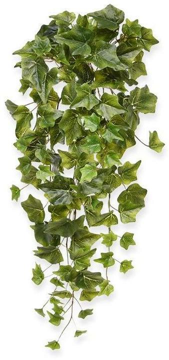 Produktbild Botanic-Haus Efeu (65 cm)