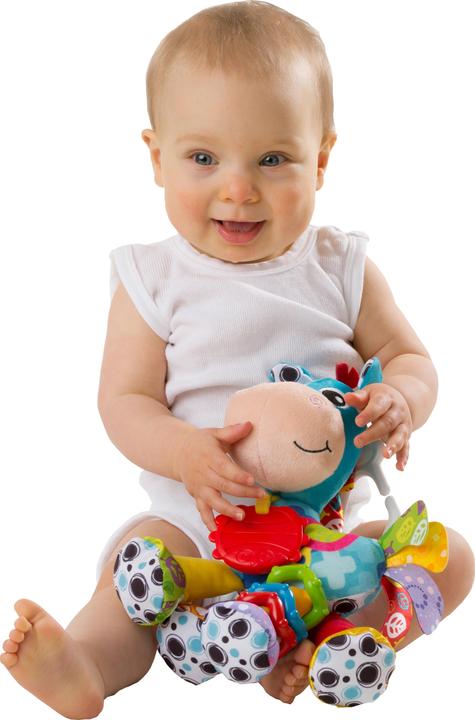 Actual product image Playgro Plush horse