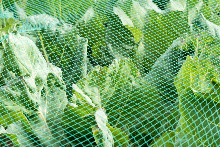 Produktbild Aquagart Teichnetz 15m x 8m Reiherschutz Silonetz Laubschutznetz Vogelschutznetz Laubnetz
