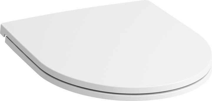 Toilet lids