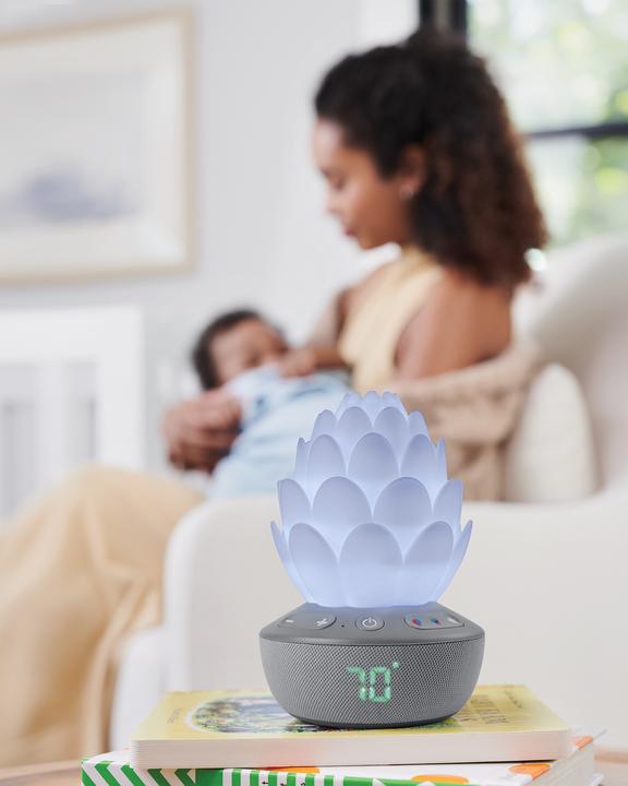 Image du produit Skiphop Veilleuse succulente