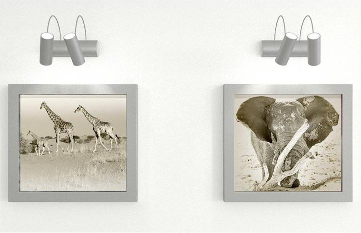 Immagine prodotto Fischer Tasselli per cartongesso (10 pz.)