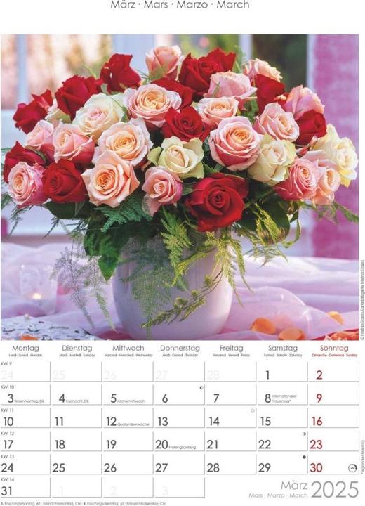 Produktbild Alpha Edition Rosenträume 2025 Bildkalender, 23,7x34cm, Wandkalender mit Platz für Notizen und (Harter Einband, Deutsch, Italienisch, Französisch, Englisch)