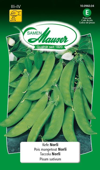 Samen Mauser Kefen Norli (Vegetable seeds)