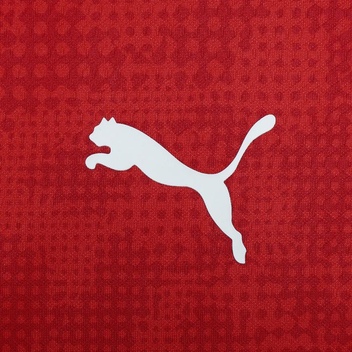 Image du produit Puma ACM Training 1/4 Zip Top (L)