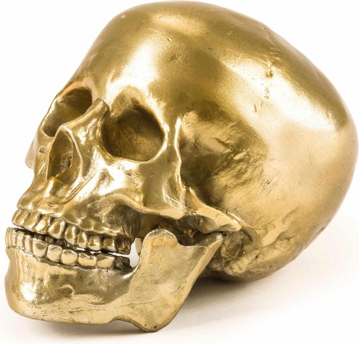 Diesel Living with Seletti Human Skull Culture Skulture - Wunderkammer Sculpture