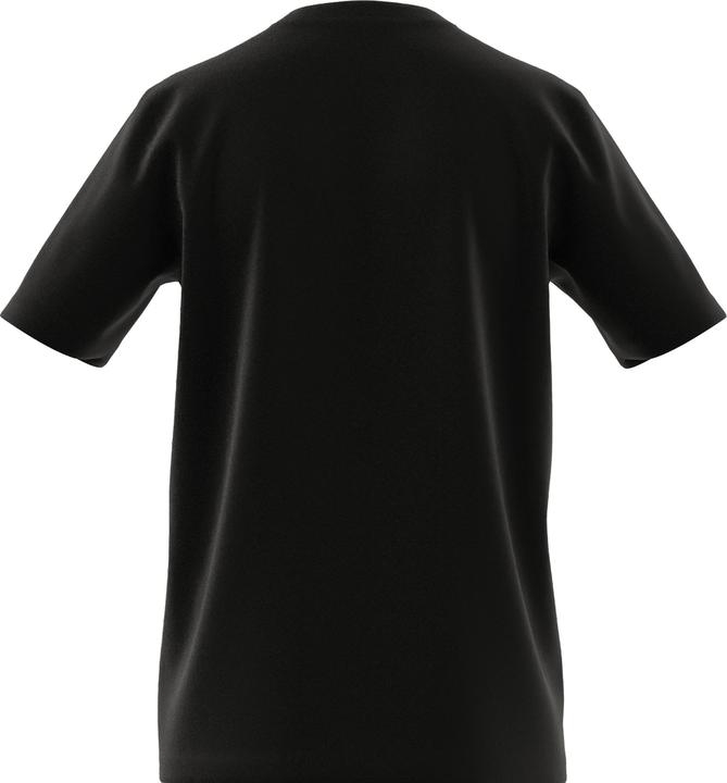 Actual product image adidas Entrada 22 T-shirt men (L)