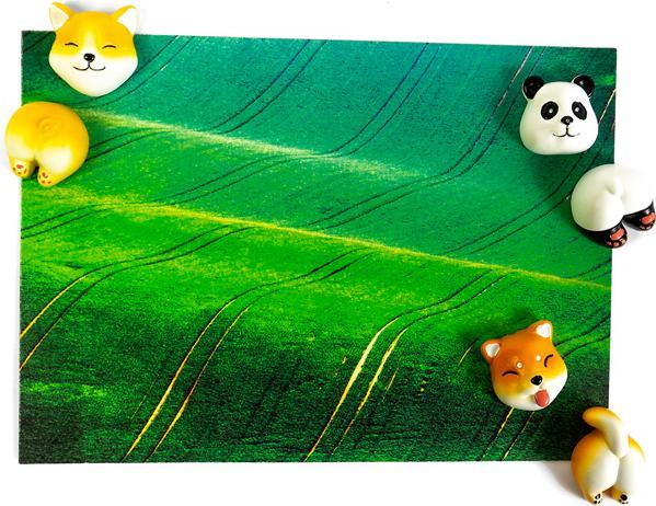 Produktbild Trendform Magnete CUTE (6 x)