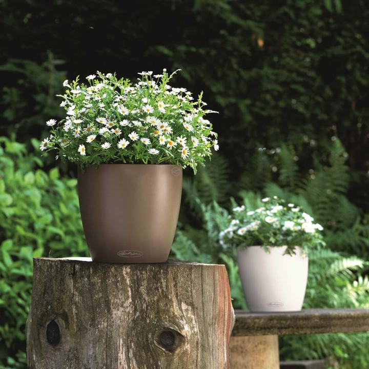 Actual product image Lechuza Classico Color (27.50 cm)