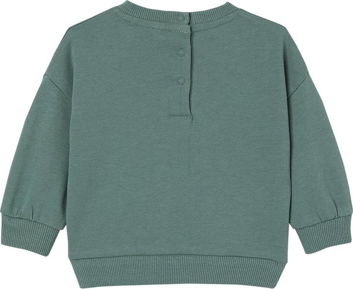 Immagine prodotto Vertbaudet Baby Sweatshirt mit Druckknöpfen hinten und Recycling-Polyester (74)