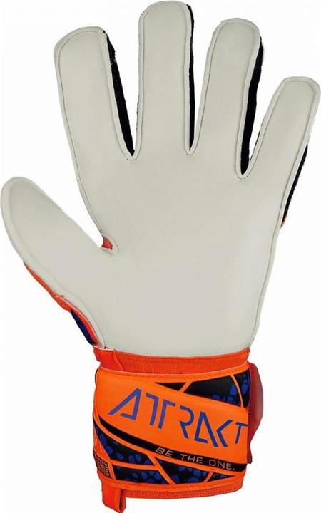 Produktbild Reusch Attrakt Solid Torwarthandschuhe (10.5)