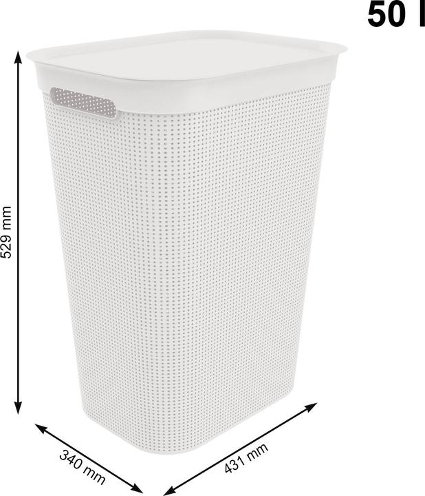 Immagine prodotto Rotho Brisen (50 l)